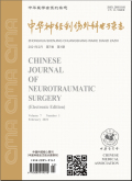 中华神经创伤外科电子
