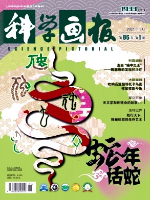 科学画报