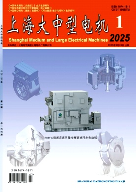 上海大中型电机