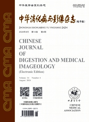 中华消化病与影像