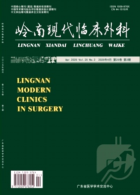 岭南现代临床外科