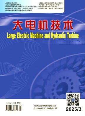 大电机技术