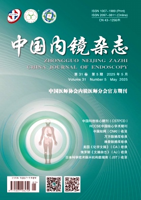 中国内镜